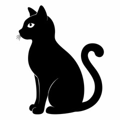black cat on white background