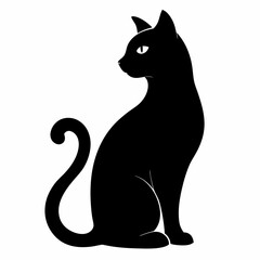 black cat on white background