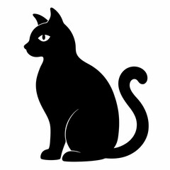 black cat on white background
