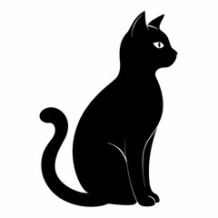 black cat on white background