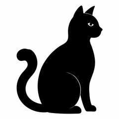 black cat on white background