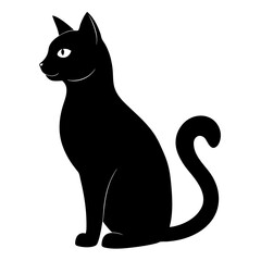 black cat on white background