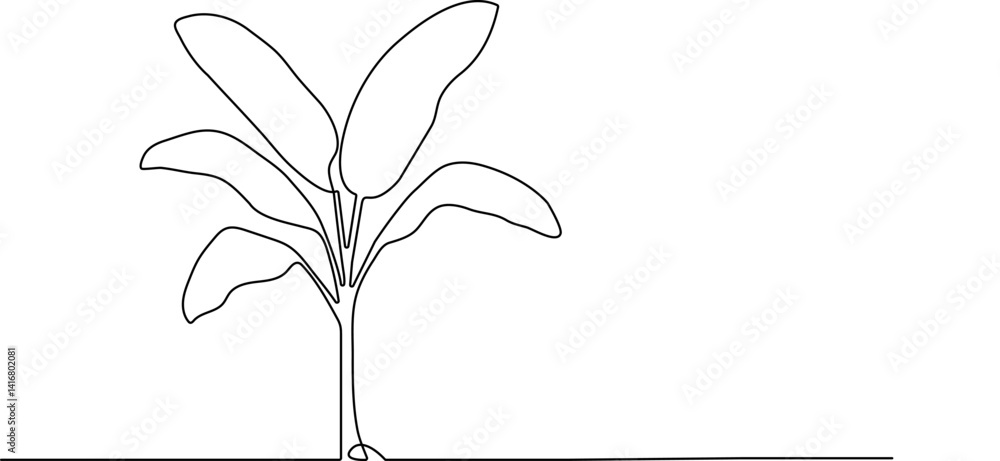 Poster one continuous line drawing of banana tree. banana tree line art drawing. tropical concept of banana