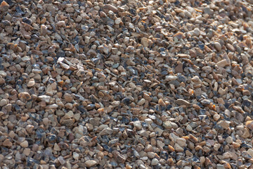 pebbles on the beach