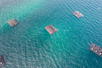 Top down view of floating platforms for shellfish farming in the ocean