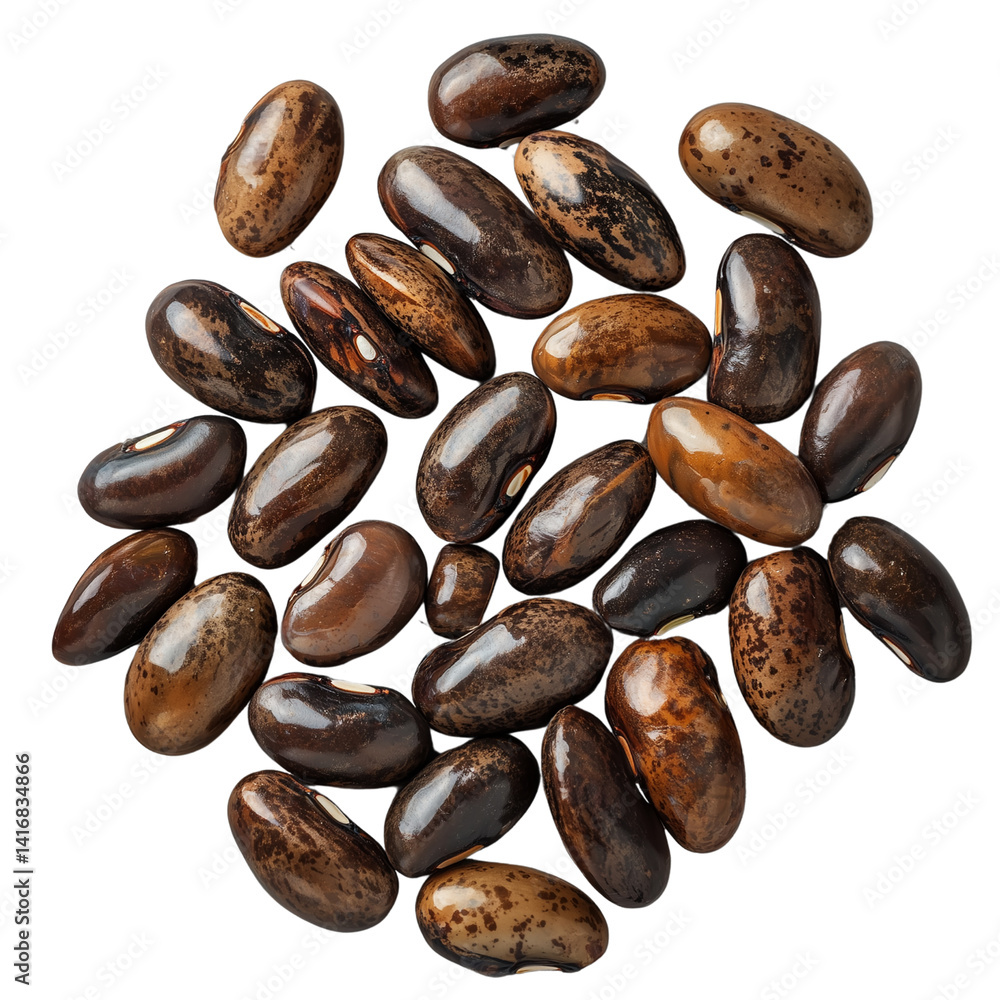 Poster a collection of shiny, dark seeds showcasing their unique textures and colors. isolated on white bac