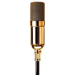 Golden Microphone: This classic microphone is a symbol of quality audio recording. Its gold finish is elegant and professional, capturing the attention of any listener.  