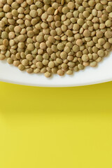 LENTEJAS (Lens Culinaris) SOBRE FONDO AMARILLO