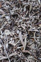 A pile of wood chips with some brown twigs and branches. The pile is scattered and has a rough texture
