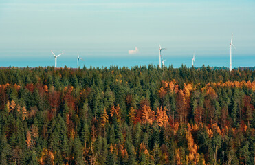 Black Forest in autumn above view and windmills at the horizon