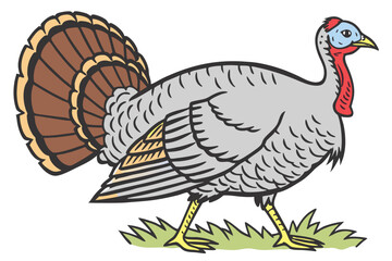 4 Turkey illustration, hand-drawn style, detailed feathers, side view, grey body, brown tail feathers, red wattle, blue head, yellow legs, white background, Thanksgiving theme, farm animal, poultry, t