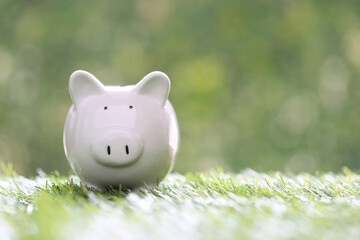 Finance, Piggy bank on natural green background, investment and business concept