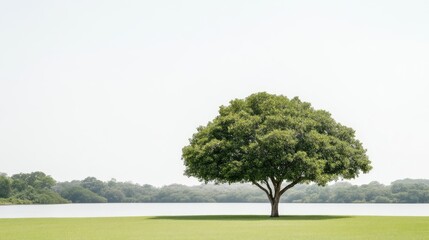 Obraz premium Solitary tree by a serene lake. Lush greenery, tranquil scene