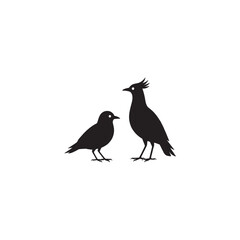 silhouette of a bird