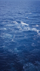 Fototapeta premium Vast ocean with deep blue waves under clear sky, showcasing nature's beauty and tranquility in a serene coastal setting, highlighting the power and expanse of the sea.