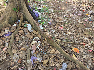 Plastic and other discarded items litter the ground near a tree's roots.