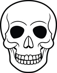 Human Skull Line Art Vector – Anatomical and Halloween Illustration