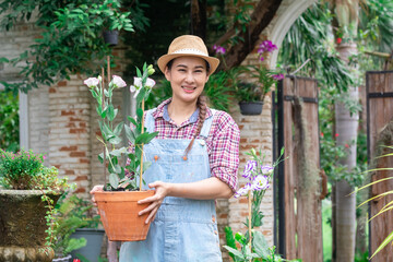 Young gardener entrepreneur woman talking to smartphone presents her flower plant in pot for online selling, Asian attractive gardening female working in shop, modern small business owner lifestyle