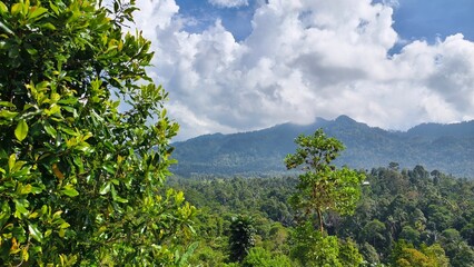 Obraz premium Scenic view of mountains and forest under a cloudy sky