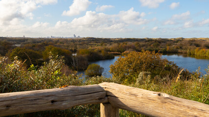Hollandse Duinen in der Nähe von Scheveningen,