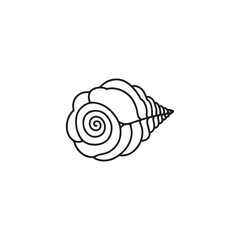 seashell vector illustration