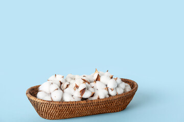 Cotton flowers in basket on blue table near white wall