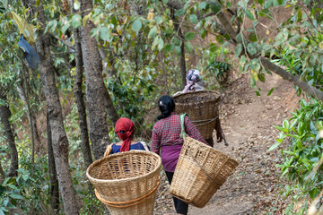 Nepal Dakshinkali Temple and Asura Cave women with panniers