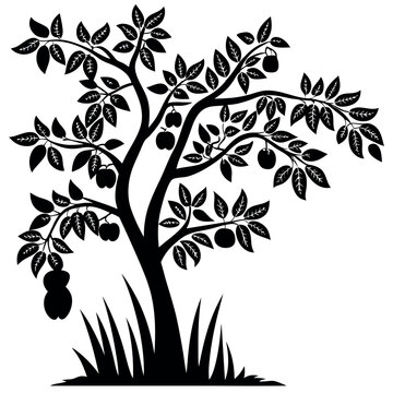 recommend clip art: Pomegranate tree icon silhouette vector with white background. 