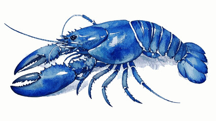 Tidepool tango lobster isolated watercolor vector illustration svg 