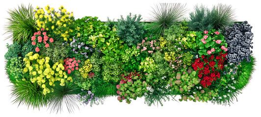 Green Flower Bed Template. Top Masterplan View and  A row of flowers with pink and white blooms of Colorful Row of Assorted Flowers and Greenery Lush Tropical Plant Wall  on islated transfarent PNG

