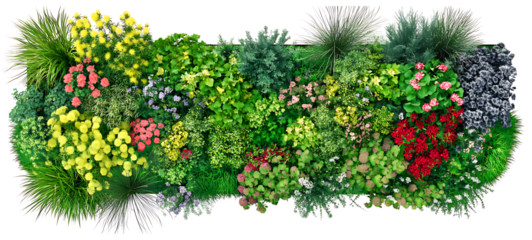 Green Flower Bed Template. Top Masterplan View and  A row of flowers with pink and white blooms of Colorful Row of Assorted Flowers and Greenery Lush Tropical Plant Wall  on islated transfarent PNG
