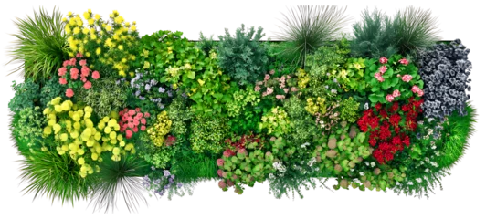 Photo sur Plexiglas Green Flower Bed Template. Top Masterplan View and  A row of flowers with pink and white blooms of Colorful Row of Assorted Flowers and Greenery Lush Tropical Plant Wall  on islated transfarent PNG 