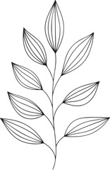 Symmetrical Botanical Sketch with Elongated Leaves and Elegant Stem in Minimalist Black and White Style for Floral Art and Natural Decor Themes