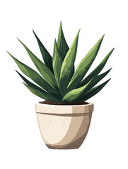 Green Succulent in Cream Pot on Transparent Background, PNG