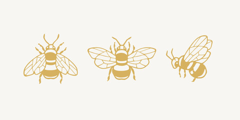 Collection of honey bee illustrations in simple line art style