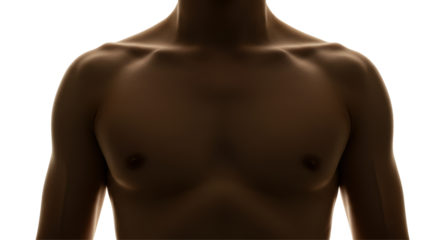 Isolated Dark Silhouette of Male Torso Muscles