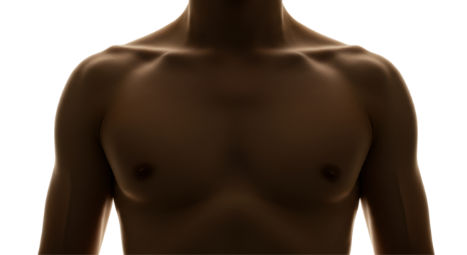 Isolated Dark Silhouette of Male Torso Muscles