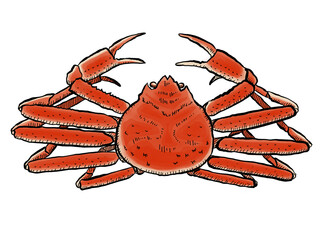 crab on white background