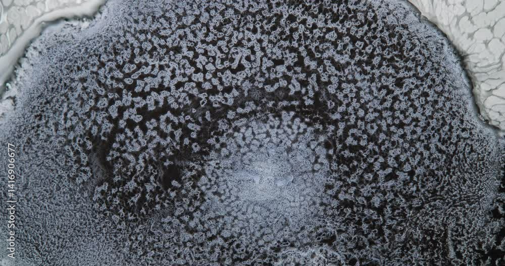 Poster dense mass of black and grey particles moves in a circular motion, forming textures that resemble a 