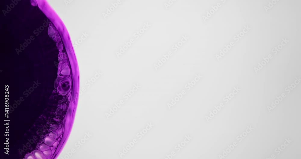 Poster creating a stunning abstract pattern, purple and black alcohol ink forms dynamic cells and bubbles a