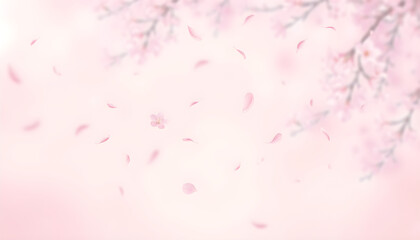 Dreamy Cherry Blossom Petals Falling Background