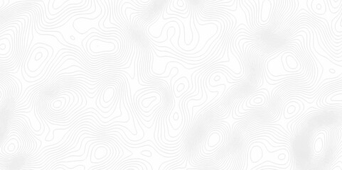White topography topology vector white background fresh contour map texture. white seamless pattern Abstract background with a wave Topography and geography map grid abstract backdrop.