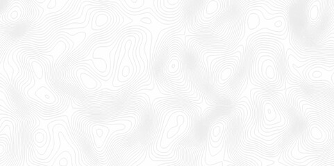 White topography topology vector white background fresh contour map texture. white seamless pattern Abstract background with a wave Topography and geography map grid abstract backdrop.