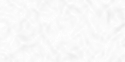 White topography topology vector white background fresh contour map texture. white seamless pattern Abstract background with a wave Topography and geography map grid abstract backdrop.