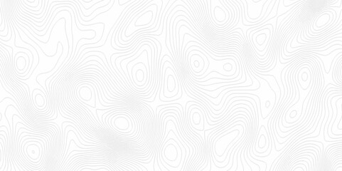 Obraz premium White topography topology vector white background fresh contour map texture. white seamless pattern Abstract background with a wave Topography and geography map grid abstract backdrop.
