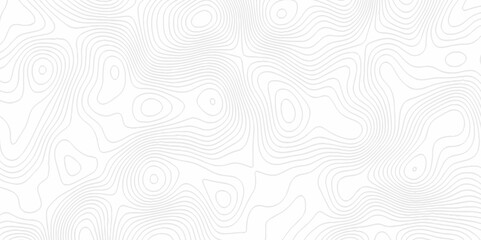 White topography topology vector white background fresh contour map texture. white seamless pattern Abstract background with a wave Topography and geography map grid abstract backdrop.