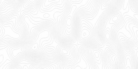 White topography topology vector white background fresh contour map texture. white seamless pattern Abstract background with a wave Topography and geography map grid abstract backdrop.