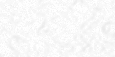 White topography topology vector white background fresh contour map texture. white seamless pattern Abstract background with a wave Topography and geography map grid abstract backdrop.