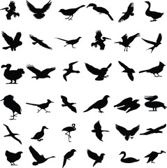 Black Filled Bird Icon Illustration Bundle – Hand-Drawn Bird Silhouettes, Minimal Animal Icons for Nature Designs, Posters, Stickers, Logos, Crafts, Web, and Digital Art