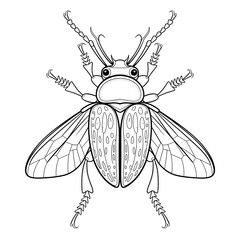 A black and white beetle illustration line art of a coloring page